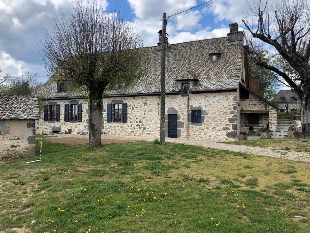 Maison Typique Auvergnate, Piscine Et Four A Pain Saint-Christophe-Les-Gorges المظهر الخارجي الصورة